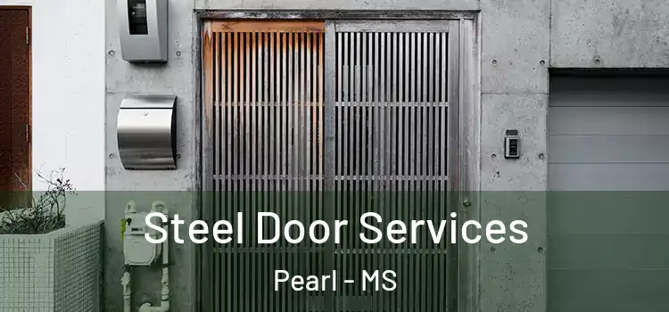 Steel Door Services Pearl - MS